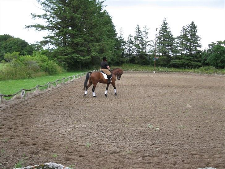 Anden særlig race  Købstrups Athene << Solgt >> - Mig og Athene igen :) billede 5