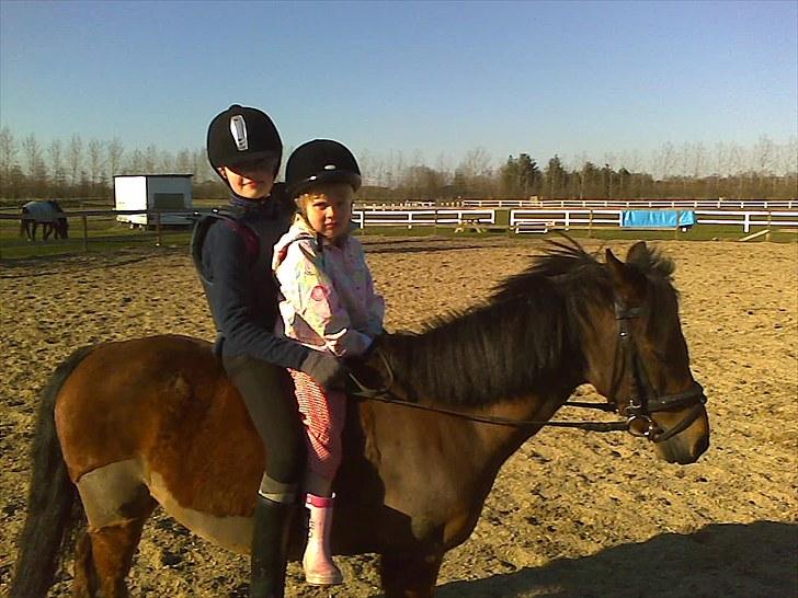 Anden særlig race Buster - Buster, Heidi og Simone ;D billede 2