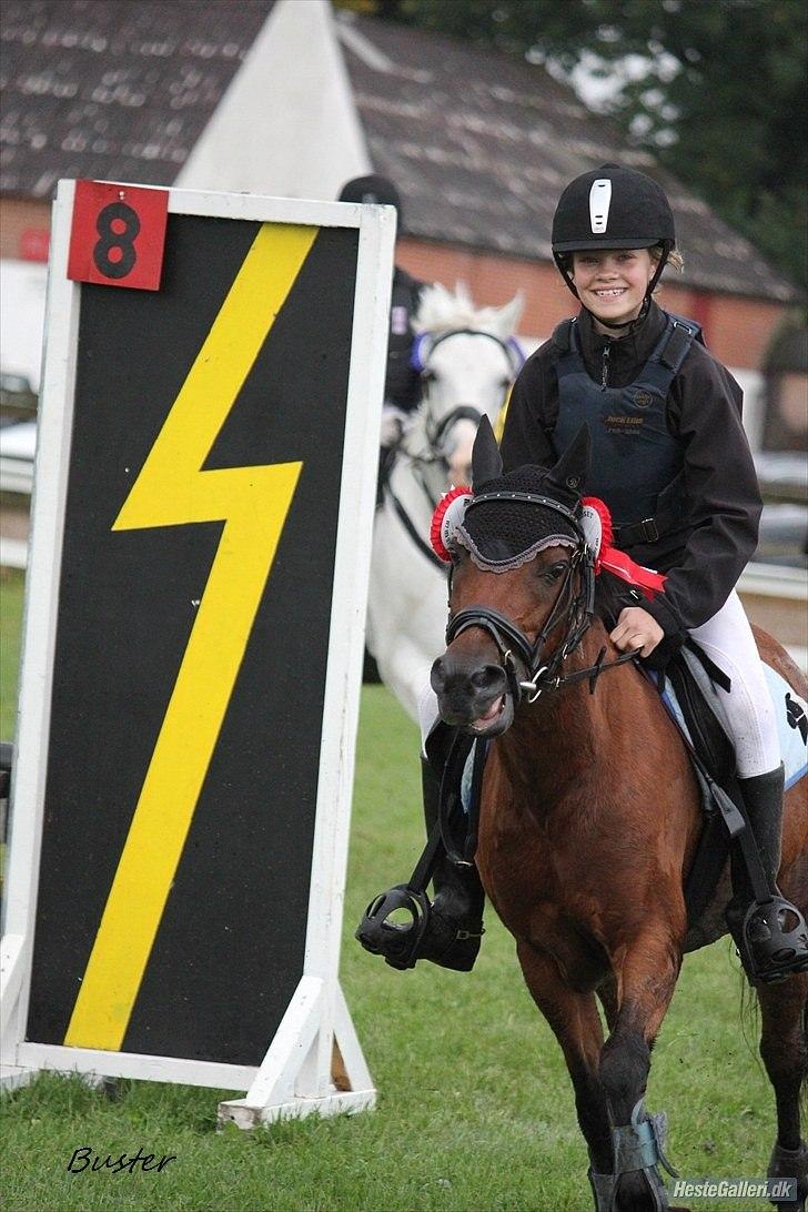 Anden særlig race Buster - verdens bedste ponze<33 vinder af bording cuppen billede 3