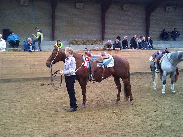 Quarter Pretty Sannes Badger billede 15