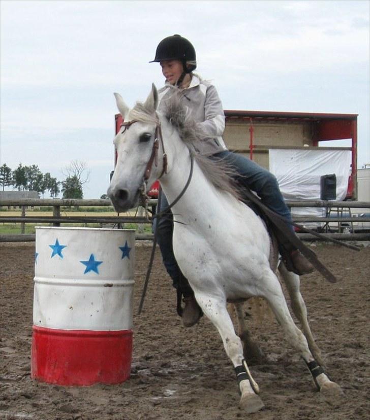 Anden særlig race Chanell (Låne hest) billede 19