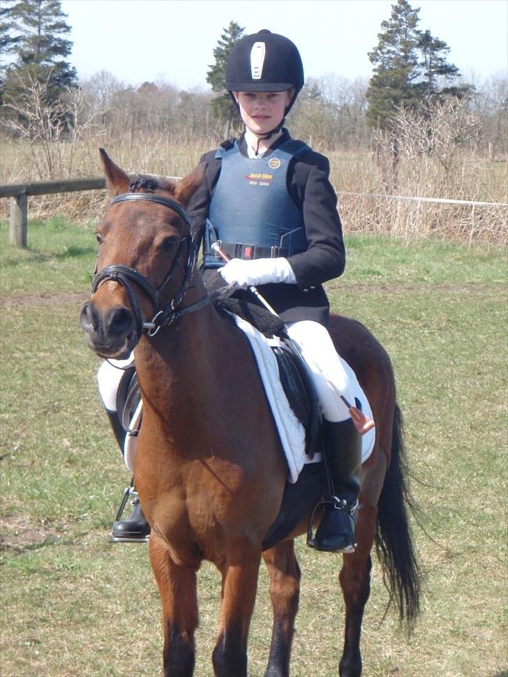 Anden særlig race Buster - Så er vi klar Lc spring !! Buster siger :  Vi skal ind nu !! <3 billede 8