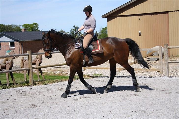 Anden særlig race Jasmin - Rasmin ;p * SOLGT * billede 11