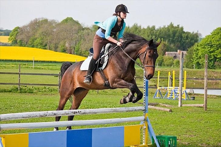 Anden særlig race Banko - Foto : Maria Rasch billede 2
