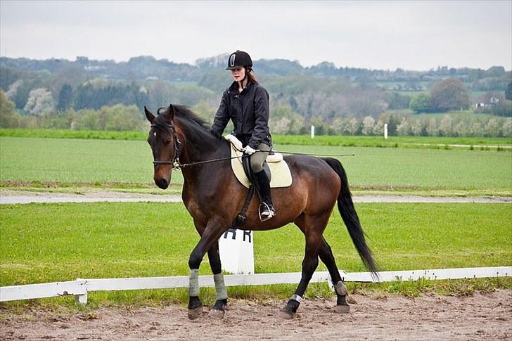 Anden særlig race Banko - Foto : Maria Rasch billede 5