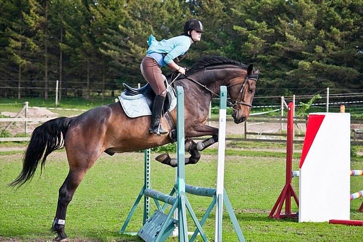 Anden særlig race Banko - Foto : Maria Rasch billede 6