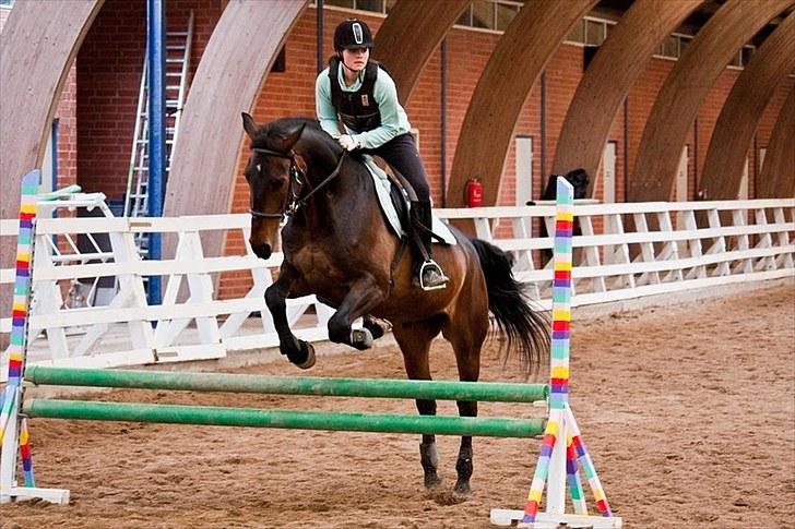 Anden særlig race Banko - Foto : Maria Rasch billede 7