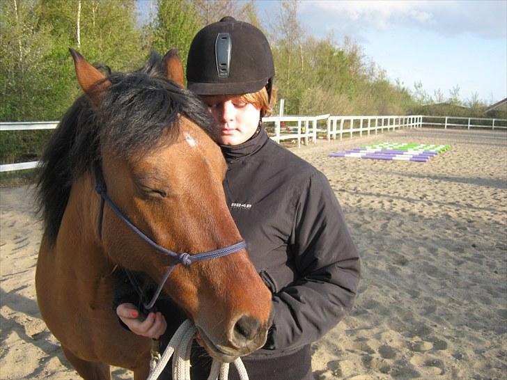 Anden særlig race Britney - Hygge efter ridning maj 2010 billede 5