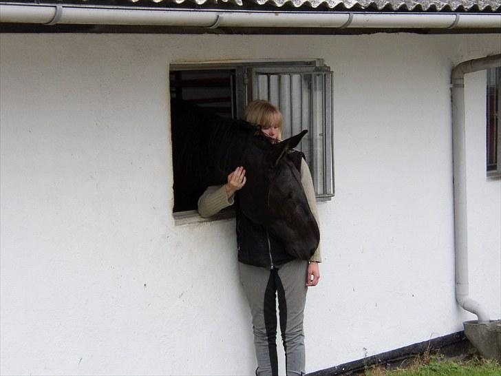 Anden særlig race Blackie(black beauty) billede 18