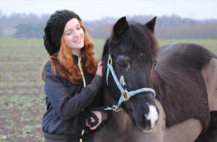 New Forest / Araber Pinocchio - Kærlighed er som en rose. For at den kan vokse og være pæn skal man passe på den og være tålmodig. indimellem stikker den men det er det hele værd når man tager sig tid og ser på hvor smuk den er. <3 billede 1