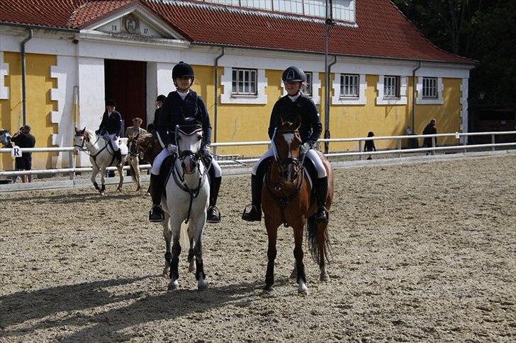 Anden særlig race Joke. <33 - Joke og Tazan til  stævne sammen 
Den hvide pony Tarzan er til salg 
søg ham som Tarzan undercover på HG billede 7