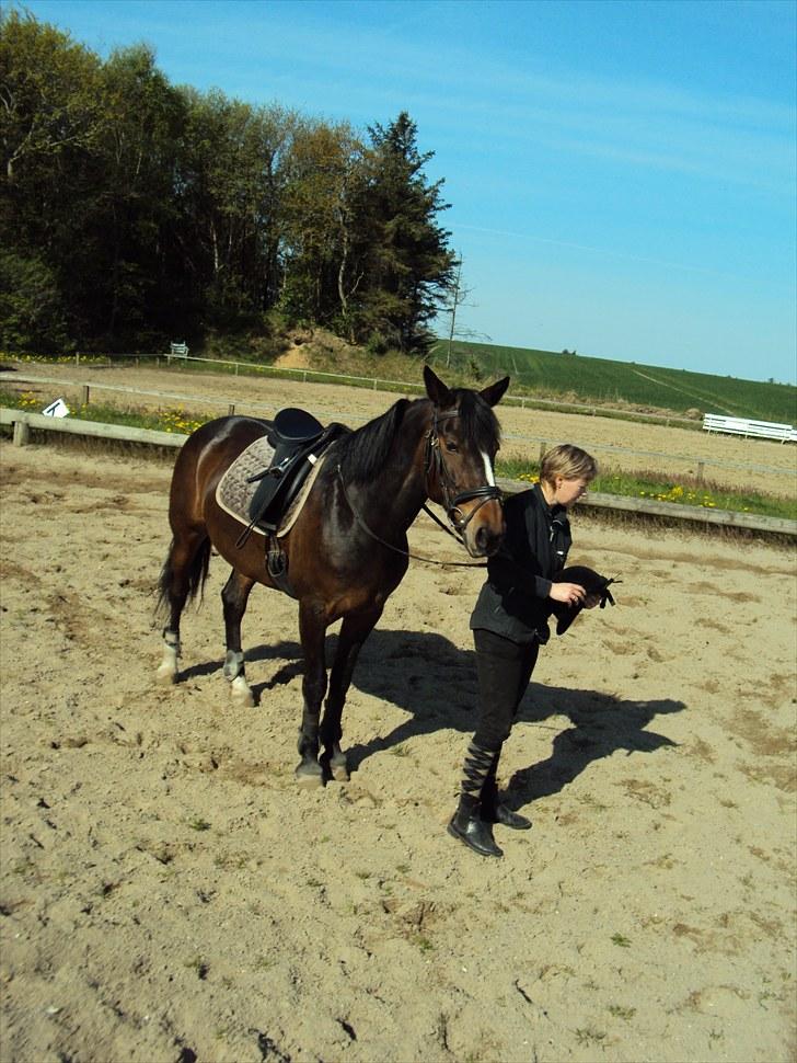 Anden særlig race Laika billede 19