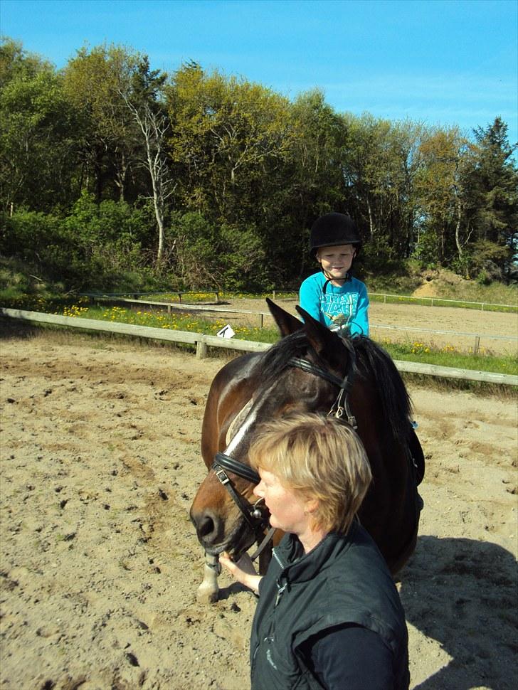 Anden særlig race Laika billede 20