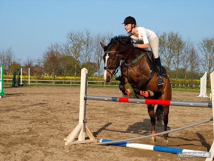 Anden særlig race Chantelle - Telle og Rikke springer mit eksamensprojekt. Foto: Signe Vilain billede 16