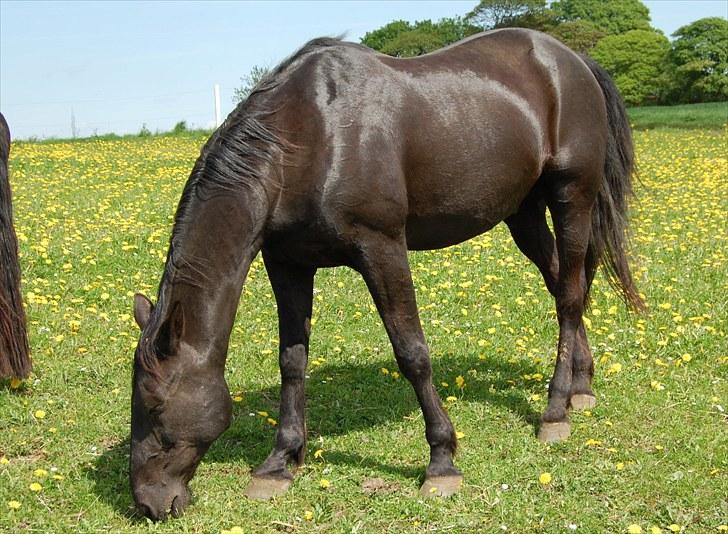 Traver Another st ( RIP ) død 17 dec 2018 billede 2