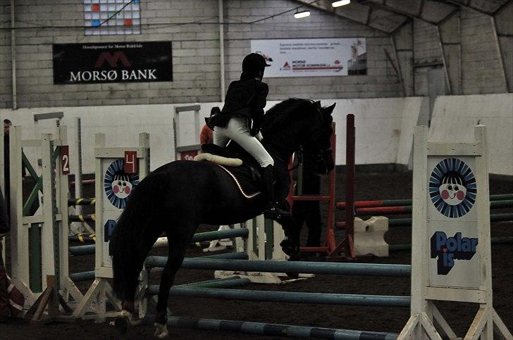 Anden særlig race Whisky<3 - Spring i MRR. billede 8