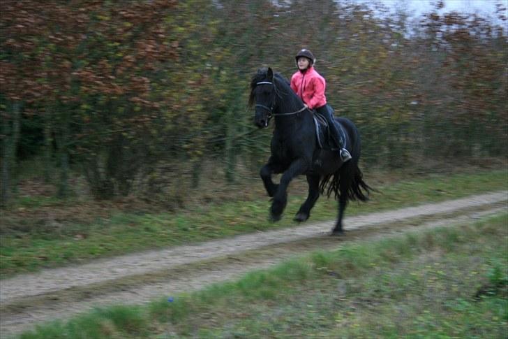 Frieser Nero ' SOLGT' :C billede 5