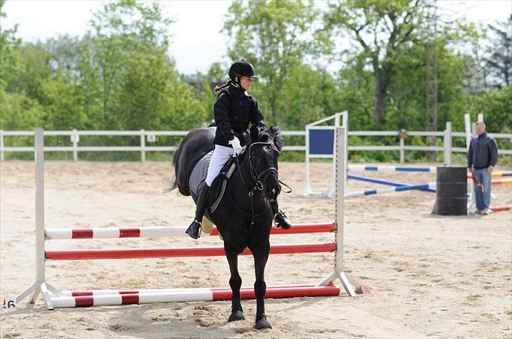 Anden særlig race Whisky<3 billede 10