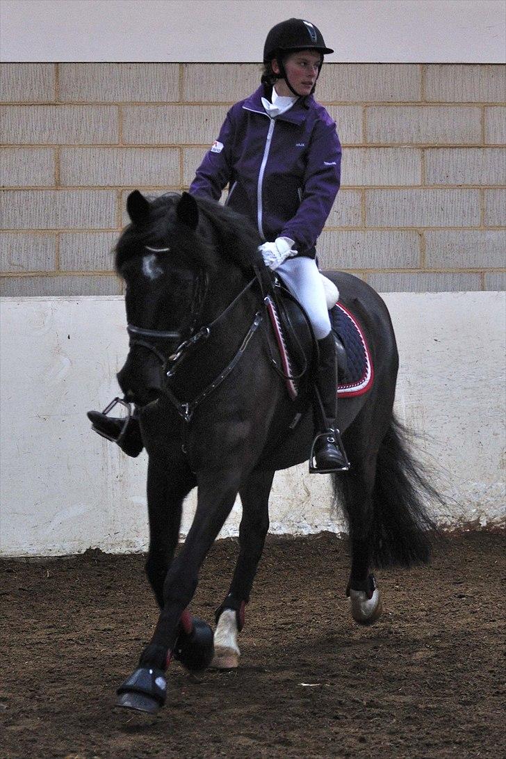 Anden særlig race Whisky<3 - Opvarmning til spring i MRR. billede 12