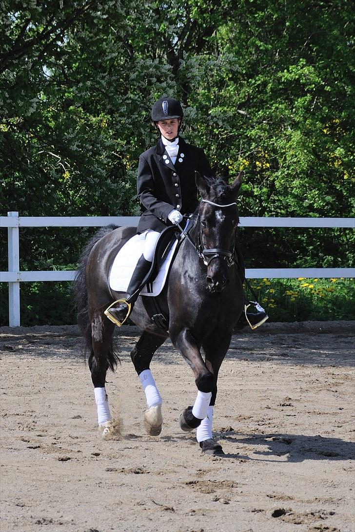 Anden særlig race Whisky<3 - Dressur Næstildgård Sportsrideklub. En af de første stævner:-) billede 13
