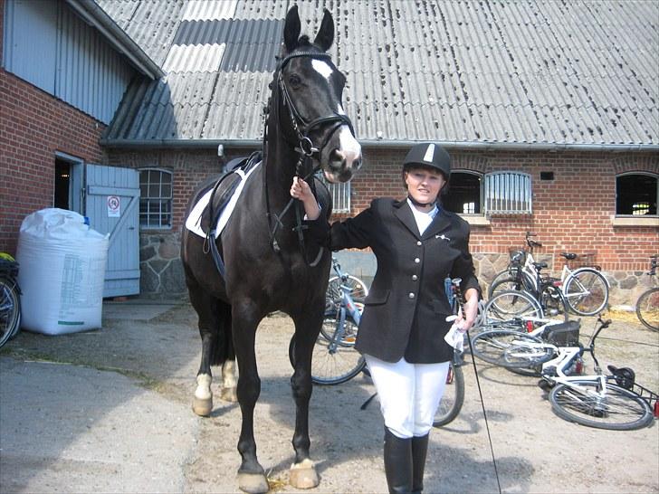 Anden særlig race Baloo R.i.P stjerne - her er vi så... lige kommet ud fra stalden..!!! han er "lidt" anspændt fordi han ikke ved hvad der skal komme til og ske... hehe... dejlig dreng  billede 18