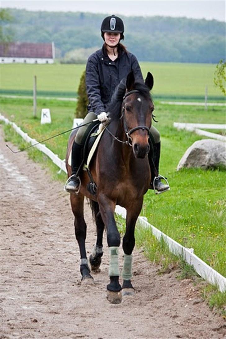 Anden særlig race Banko - Foto : Maria Rasch billede 9