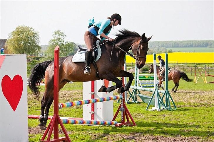 Anden særlig race Banko - Foto : Maria Rasch billede 10