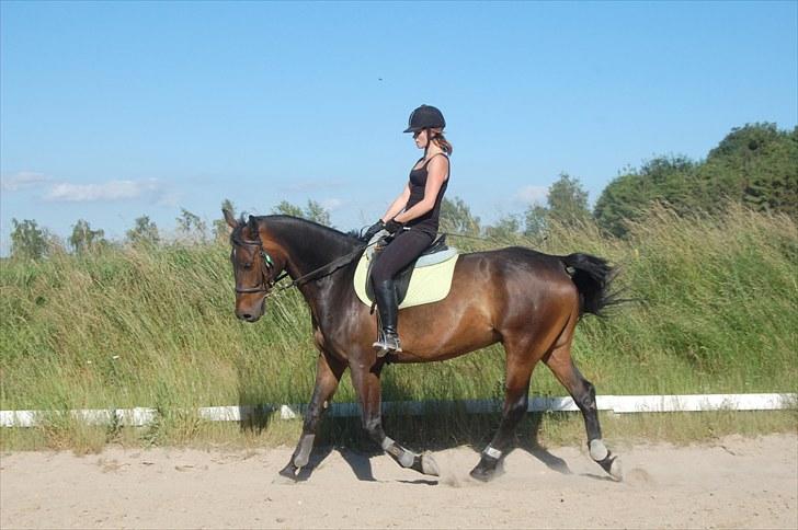 Anden særlig race Banko - Foto : Maria Rasch billede 11