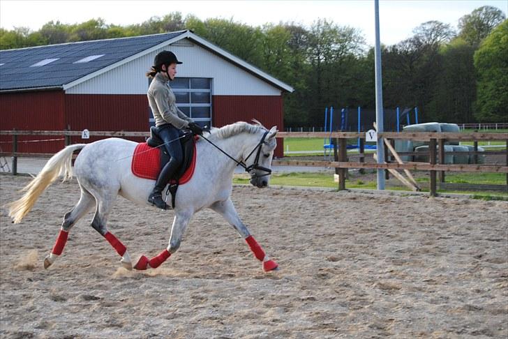 Anden særlig race Powergirl B-pony SOLGT - og så kom øgningen :D billede 15