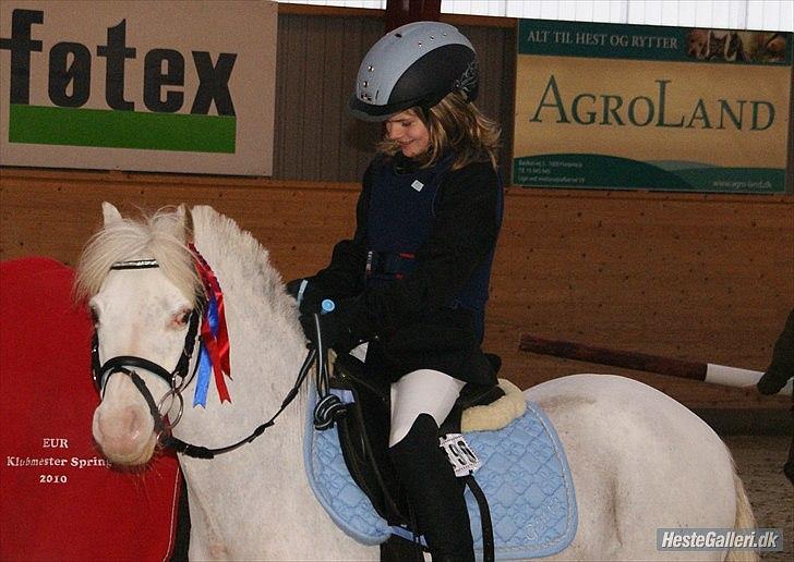 Anden særlig race GINIE!<3  (søsters pony) billede 7