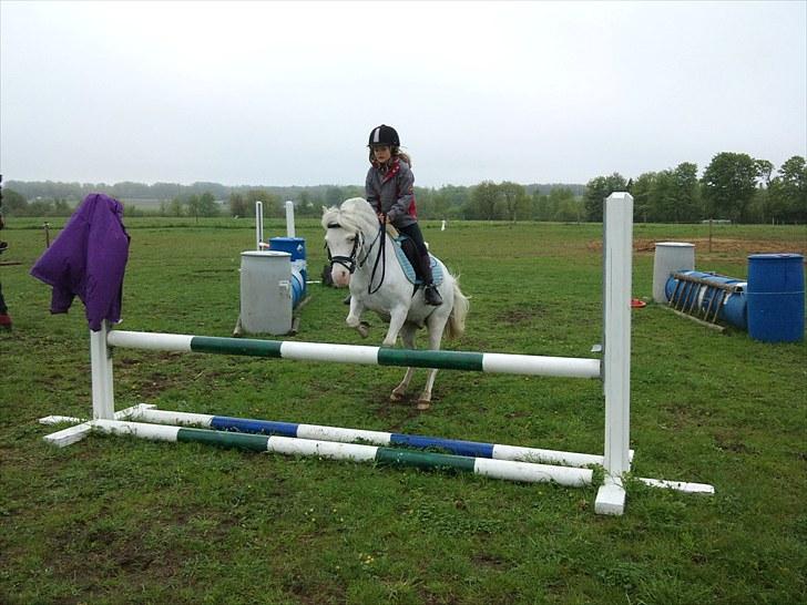 Anden særlig race GINIE!<3  (søsters pony) billede 8