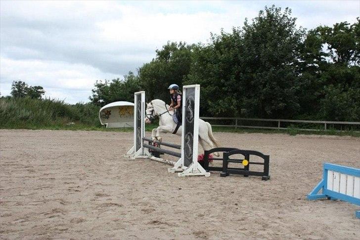 Anden særlig race GINIE!<3  (søsters pony) billede 9