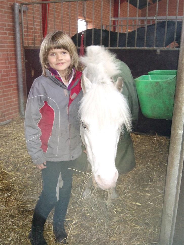 Anden særlig race GINIE!<3  (søsters pony) billede 11