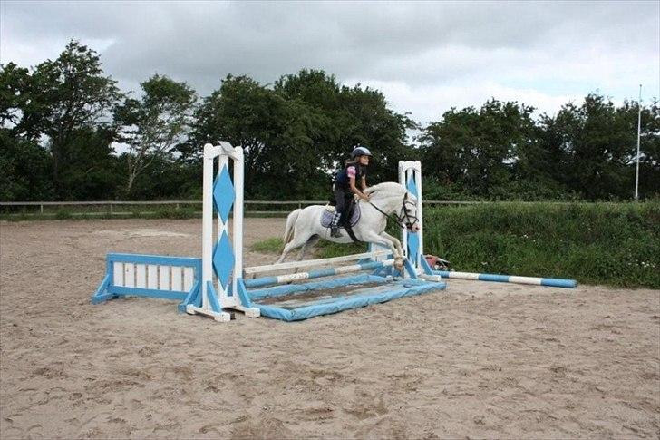 Anden særlig race GINIE!<3  (søsters pony) billede 12