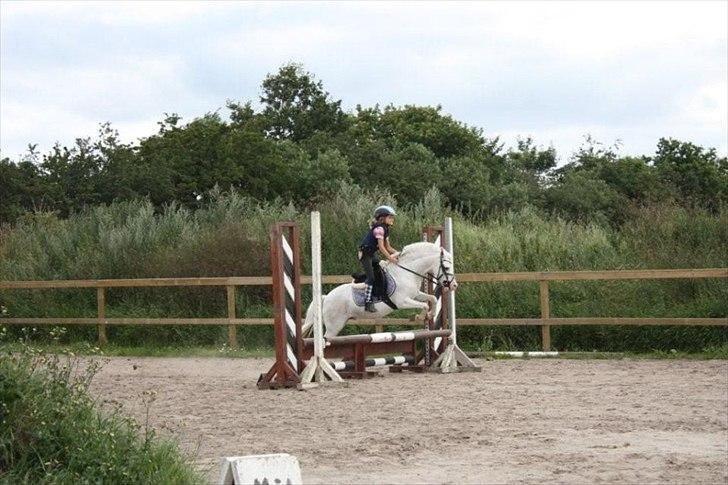 Anden særlig race GINIE!<3  (søsters pony) billede 13