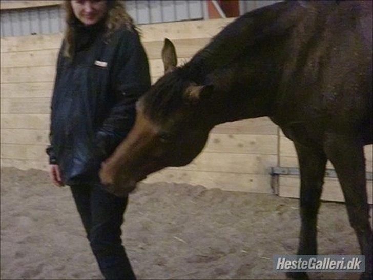 Anden særlig race Pretty Princess SOLGT billede 1