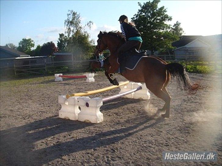 Anden særlig race Pretty Princess SOLGT billede 4