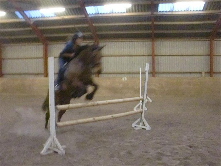 Anden særlig race Pretty Princess SOLGT billede 7