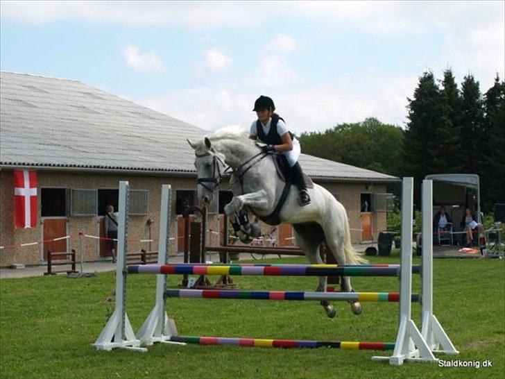 Tysk Oldenburger Certina   - Min hest er flyvendene i en LC ;) billede 15