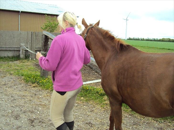 Anden særlig race Felina *SOLGT* - Felina&mig i;. billede 2
