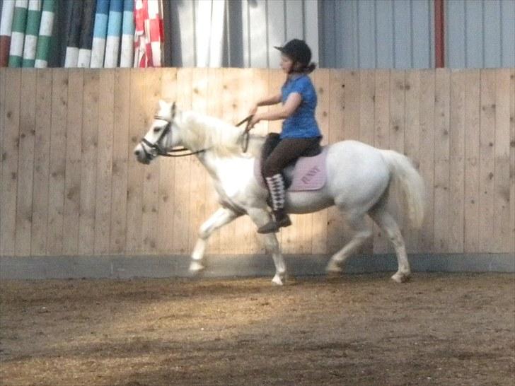 Anden særlig race Adonis lånte - Adonis og min søster der rider ;D billede 8