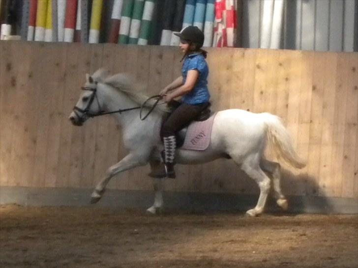 Anden særlig race Adonis lånte - fuld fart fremad billede 9