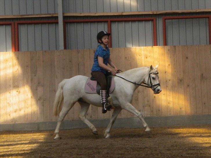 Anden særlig race Adonis lånte - sikke en lille god pony du er ;D billede 10