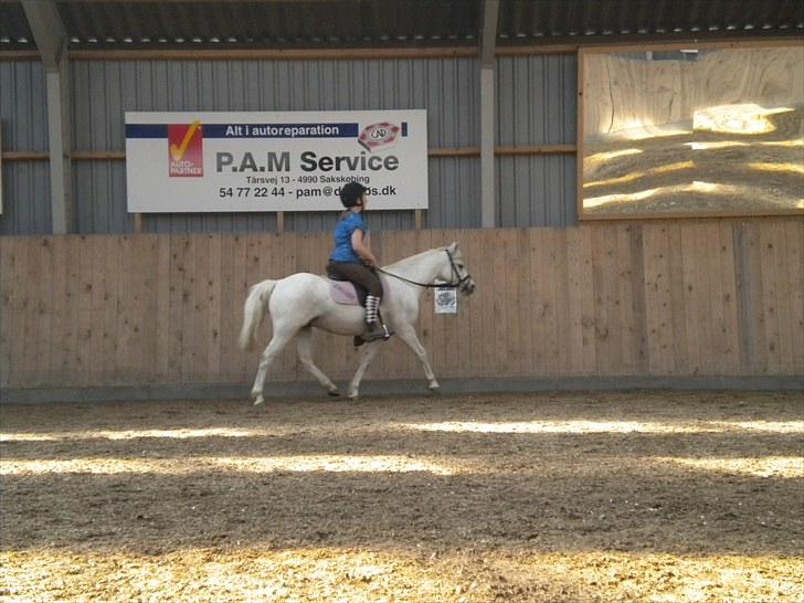 Anden særlig race Adonis lånte - smuk smukkere smukkest ;D billede 11