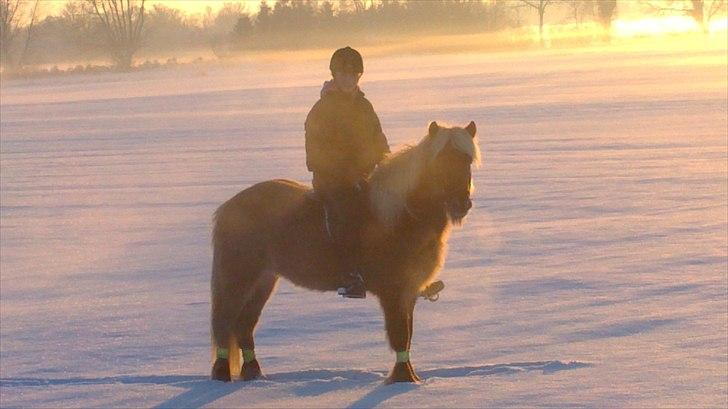 Islænder Thota fra kadalstötum - årets sidste hop <3 billede 1