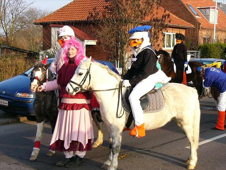 Anden særlig race Adonis lånte - Adonis er med i juleoptoget i 2009 billede 12