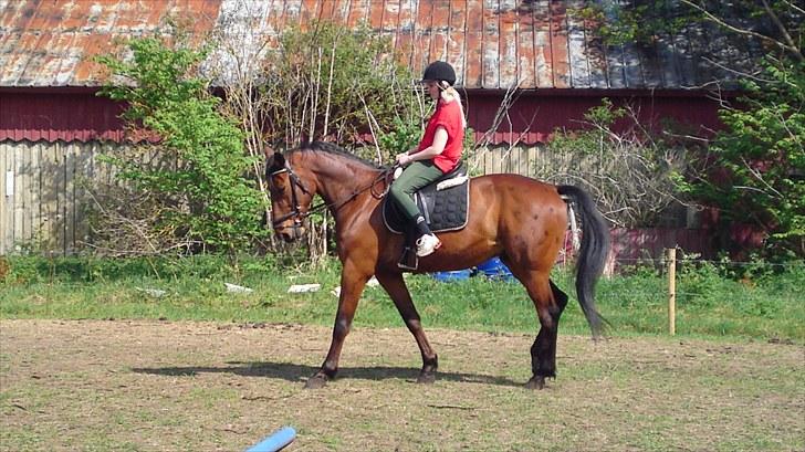 Traver Emir billede 8