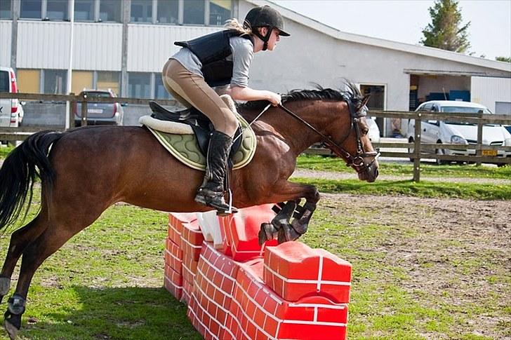 Anden særlig race Trunte † - Fotograf: Maria Rasch - Fordi jeg hader at springe mur !! billede 12