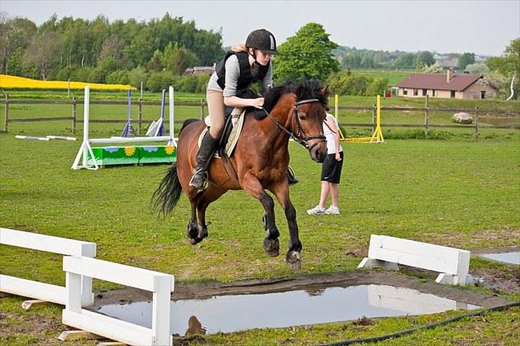Anden særlig race Trunte † - Fotograf: Maria Rasch - Fordi det var første gang vi sprang vand !! <3 billede 14