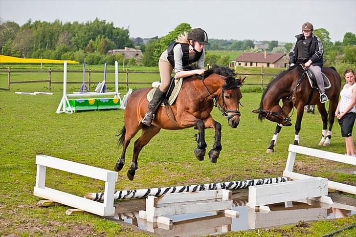 Anden særlig race Trunte † - Fotograf: Maria Rasch - Fordi du bare sprang alt det jeg styrede dig imod !<3 billede 15